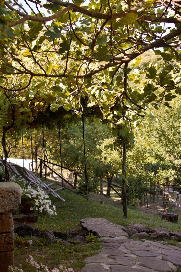 Albareto  Borgo Casaleゲストハウス エクステリア 写真